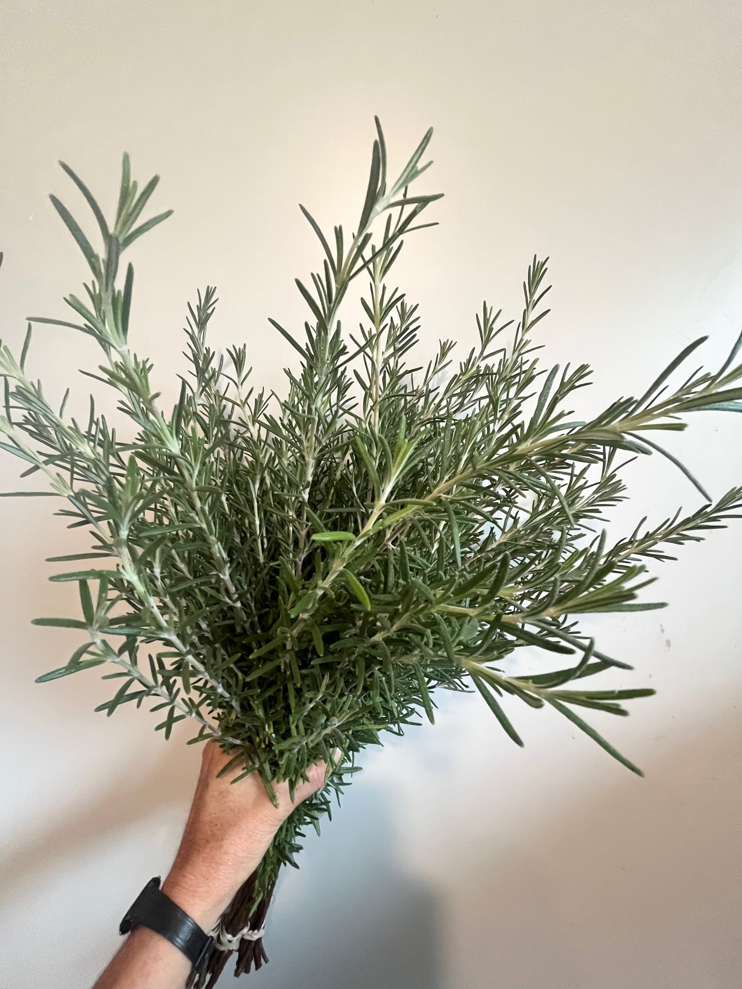 Holiday Greenery Bucket