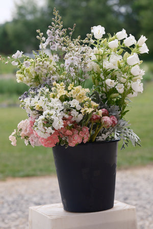 Order by Color Palette