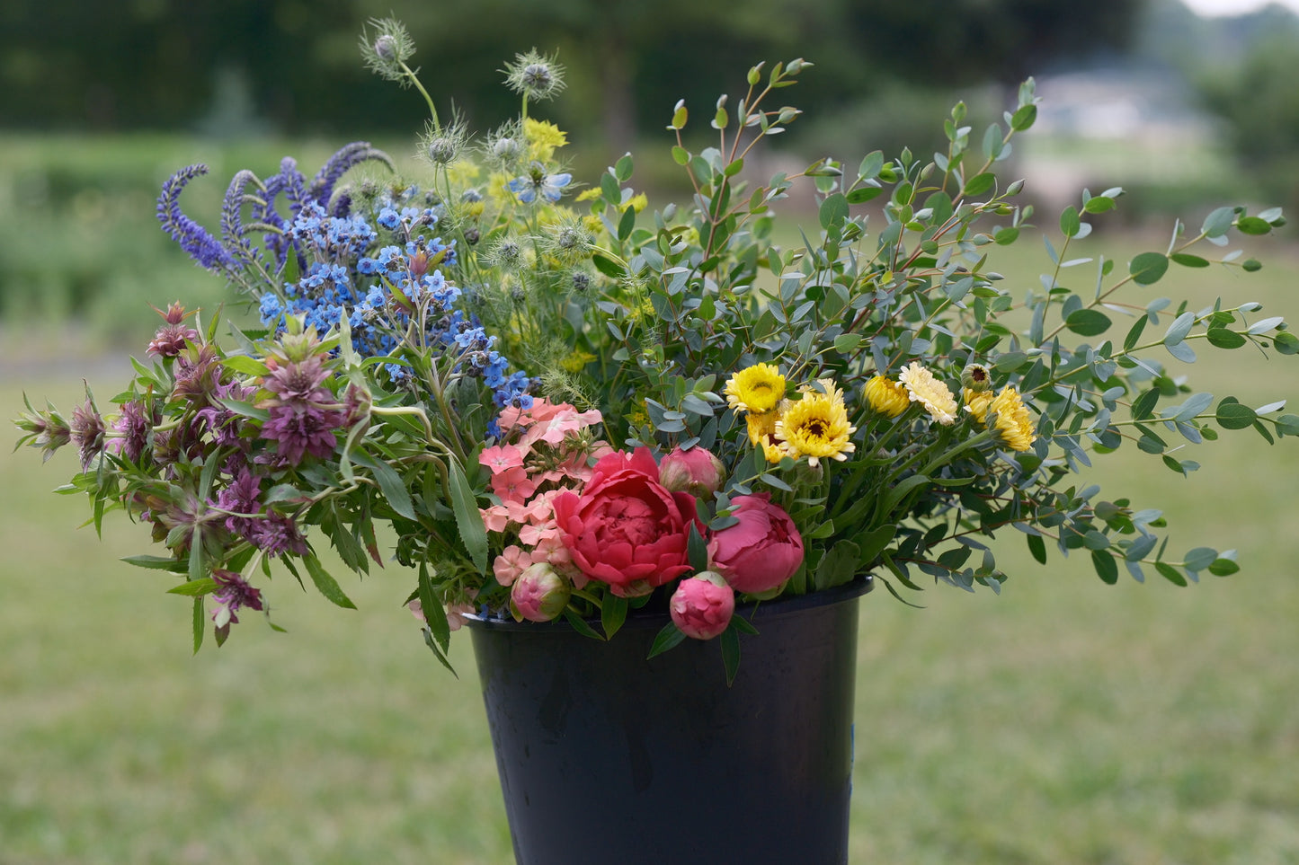 Florist's Monthly Subscription